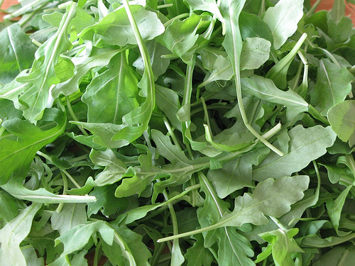 Arugula, Fennel & Orange Salad