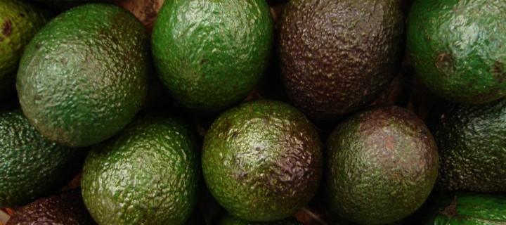 Avocado Pesto Pasta