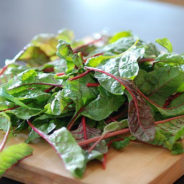 Sautéed Beet Greens