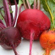 Warm Orzo Salad with Beets & Greens