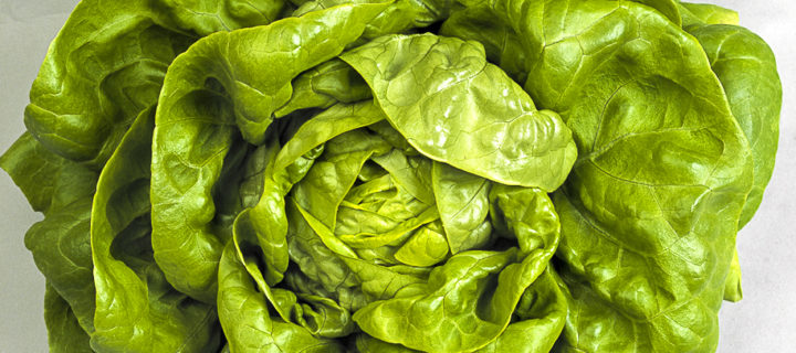 Butter Lettuce Salad with Dijon Dressing