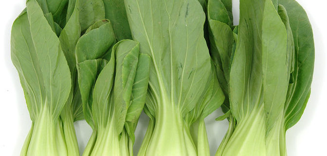 Bok Choi and Salmon Curry