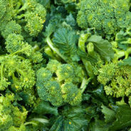 Sesame Kale & Broccoli