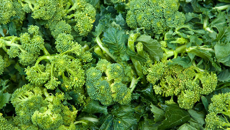 Sesame Kale & Broccoli