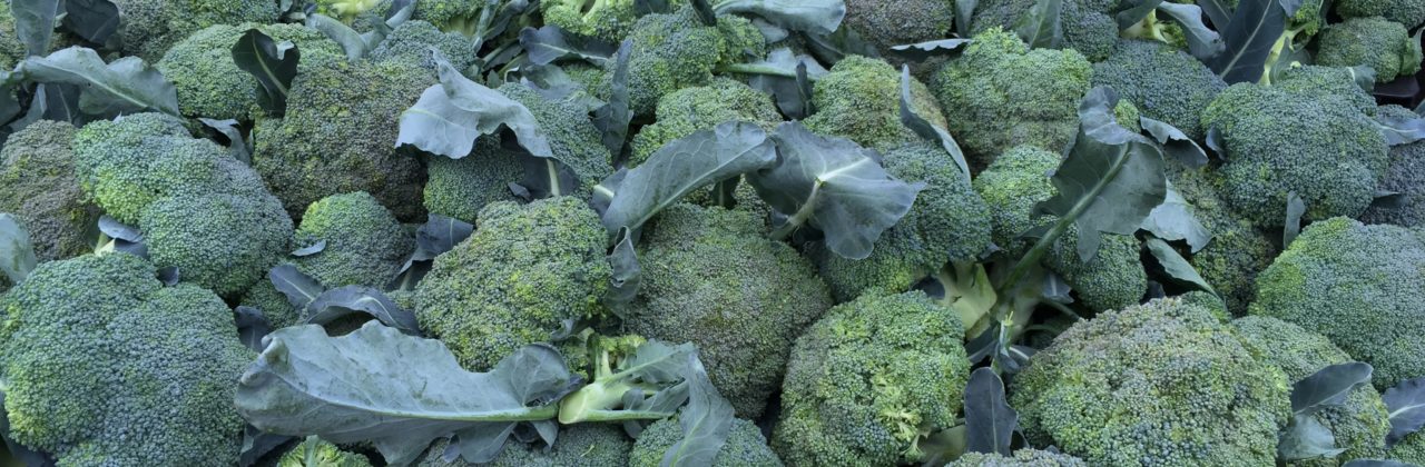 Garlic-Broccoli Stir-Fry with Soba