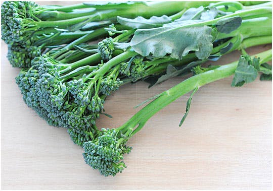 Charred Broccolini with Fava Beans in Vinegar