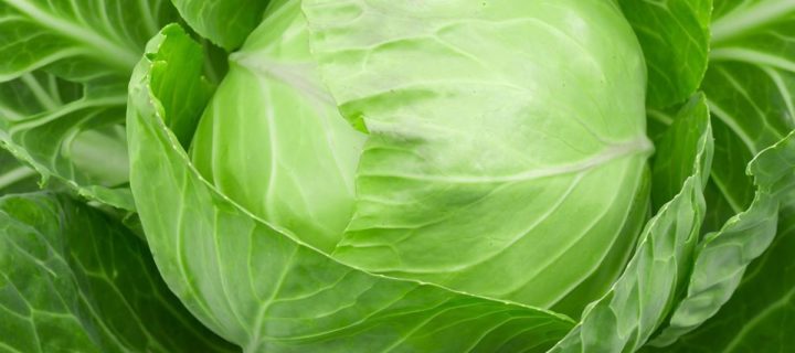 Thyme-Roasted Cabbage