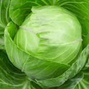 Sweet Cabbage Strudel