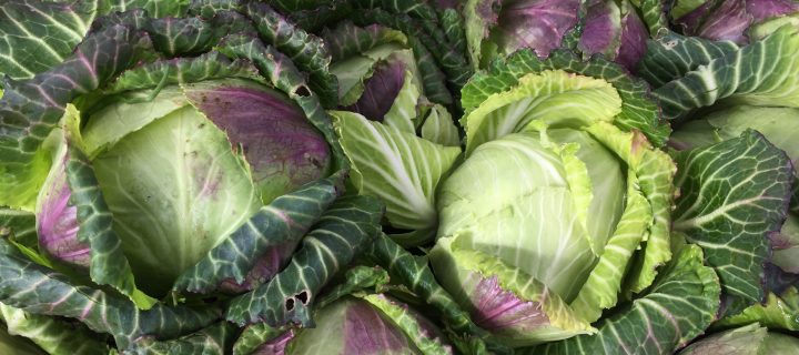 Southern Smothered Cabbage with Smoked Turkey