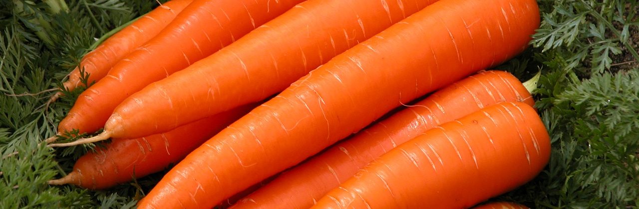 Herbed Carrots