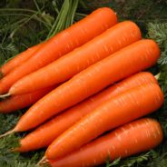 Honey-Glazed Carrots