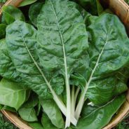 Baked Stuffed Collards/Chard/Kale Rolls