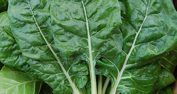 Baked Stuffed Collards/Chard/Kale Rolls