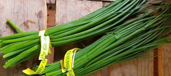 Bok Choy with Miso Chive Dressing