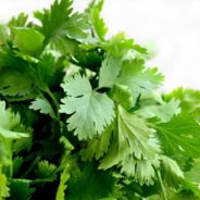 Sweet and Sour Celery Cilantro Salad