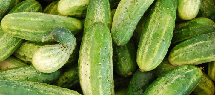 Sour Cream Cucumbers