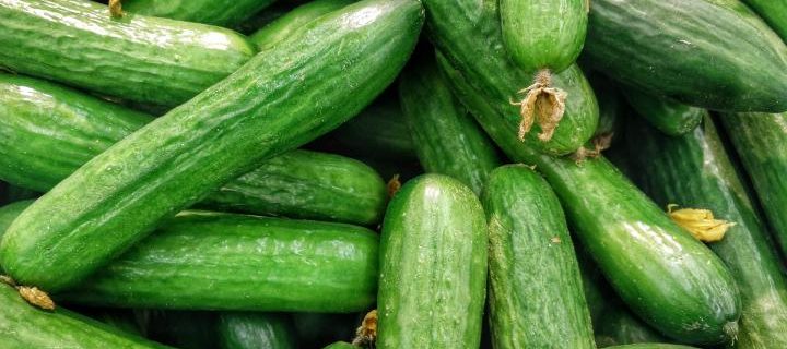 Tzatziki (Cucumber Salad)