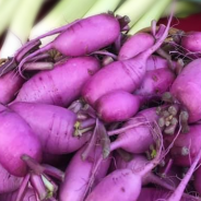 Daikon Carrot Salad with Sesame Ginger Dressing