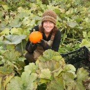 Pumpkin Soup
