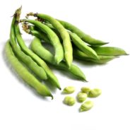 Grilled Fava Beans