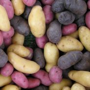 Grilled Fingerling Potato Salad