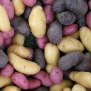 Lemon-Roasted Fingerling Potatoes