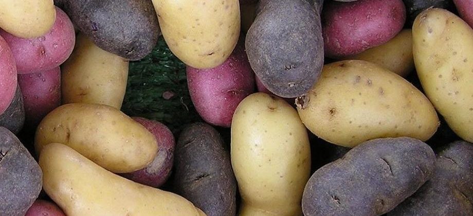 Lemon-Roasted Fingerling Potatoes