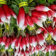 Buttered Radishes with Poached Eggs