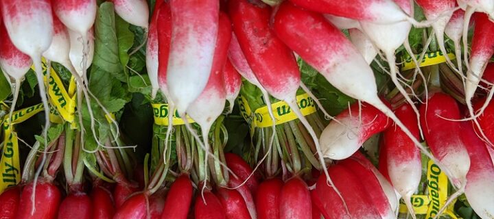 Buttered Radishes with Poached Eggs