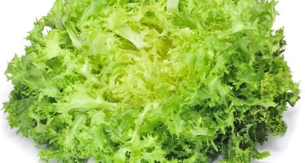 Frisee & Apple Salad