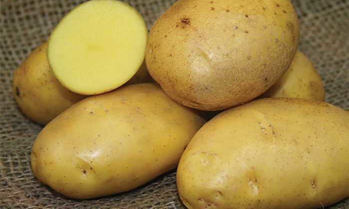 Potato-Crust Quiche