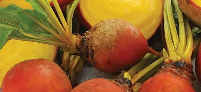 Golden Beet Salad