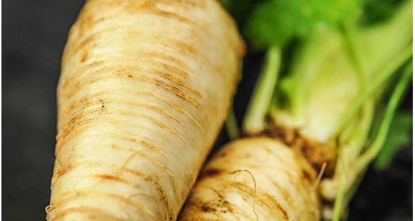 Cheddar and Parsnip Soup
