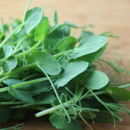 Simple Lemon Pasta with Pea Greens