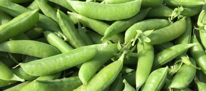 Snap Pea Salad