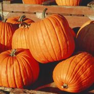 Pumpkin Soup with Cilantro