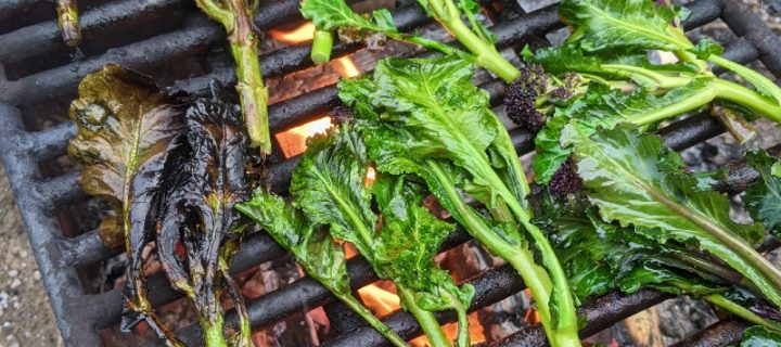 Simple Grilled Purple Sprouting Broccoli