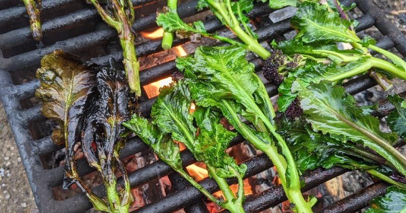 Simple Grilled Purple Sprouting Broccoli