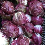 Roasted Balsamic Radicchio