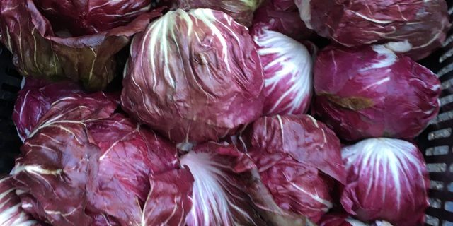 Roasted Balsamic Radicchio