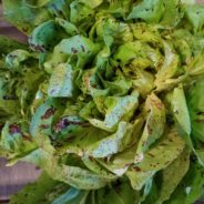 Radicchio Autumn Salad