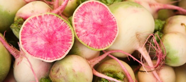 Watermelon Radish, Orange & Goat Cheese Salad