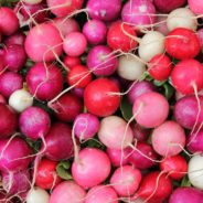 Radish & Herb Salad