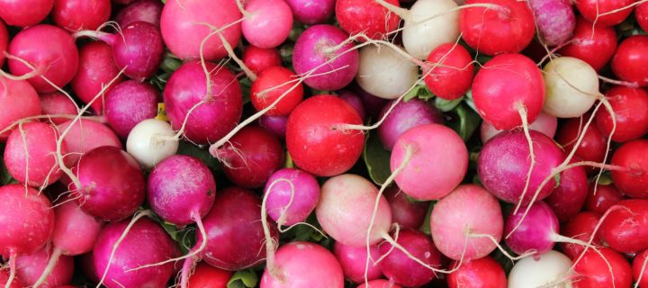 Radish & Herb Salad