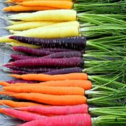 Roasted Carrots with Lemon Thyme Butter