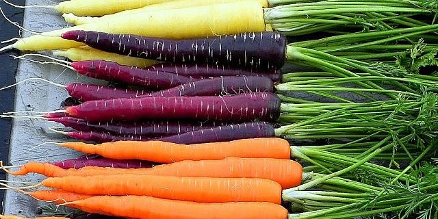 Roasted Carrots with Lemon Thyme Butter