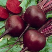 Beet and Goat Cheese Spread