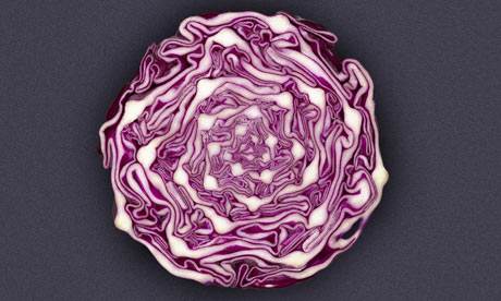 Braised Red Cabbage with Vinegar