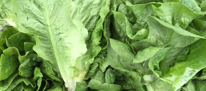Homemade Caesar Salad Dressing