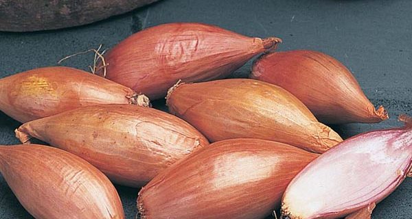 Shallot Vinaigrette